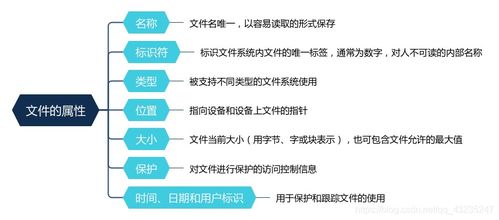 文件管理与操作系统（笔记五） 广金业务管理系统视角